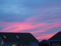 IMG_2970.JPG